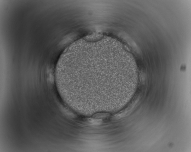 X0000102800719200809150929