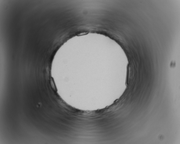 X0000102800720200809150929