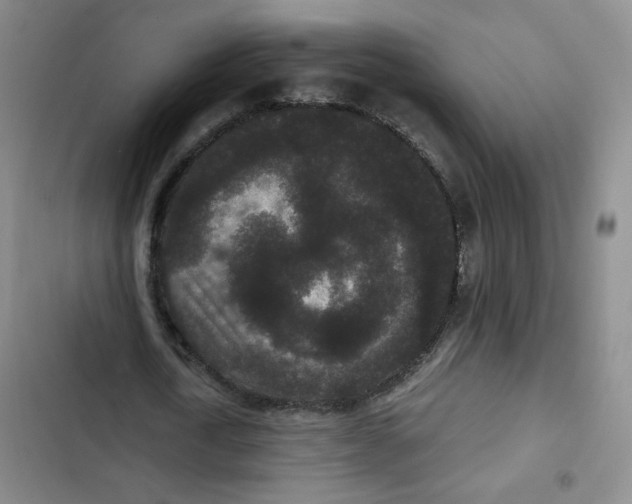 X0000102800722200809150928