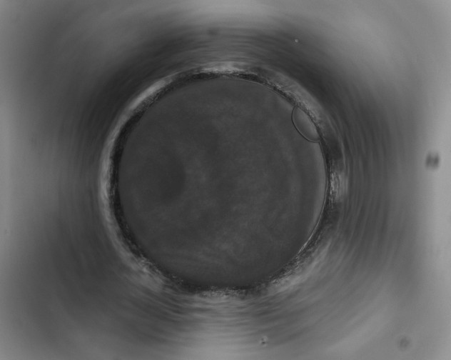 X0000102800724200809150928