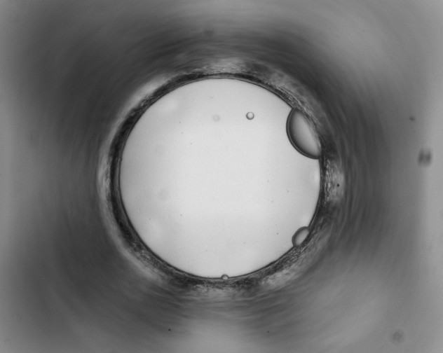 X0000102800726200809150928