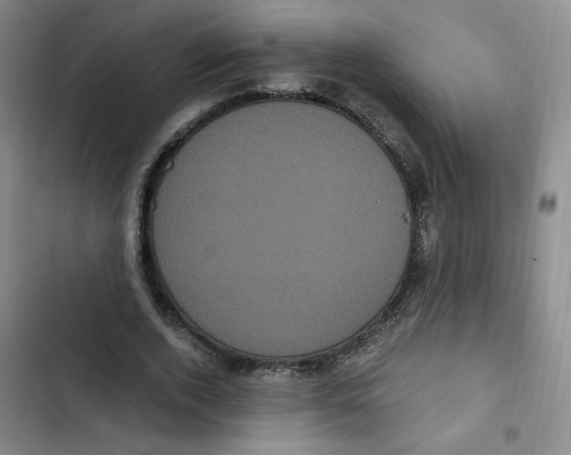 X0000102800728200809150928