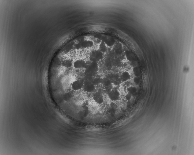 X0000102800729200809150928