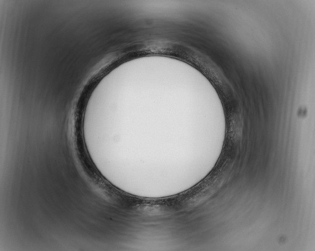 X0000102800730200809150928