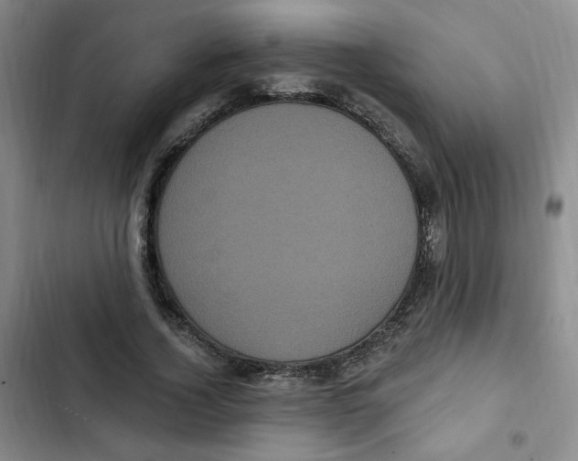 X0000102800732200809150928