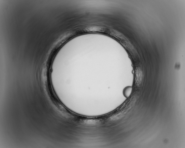 X0000102800734200809150928