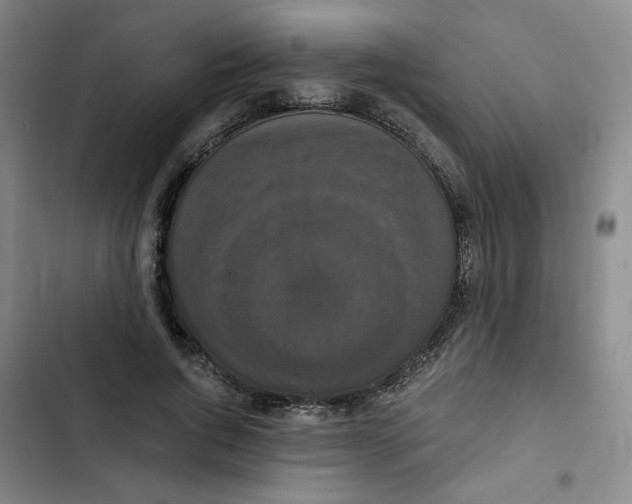 X0000102800736200809150928