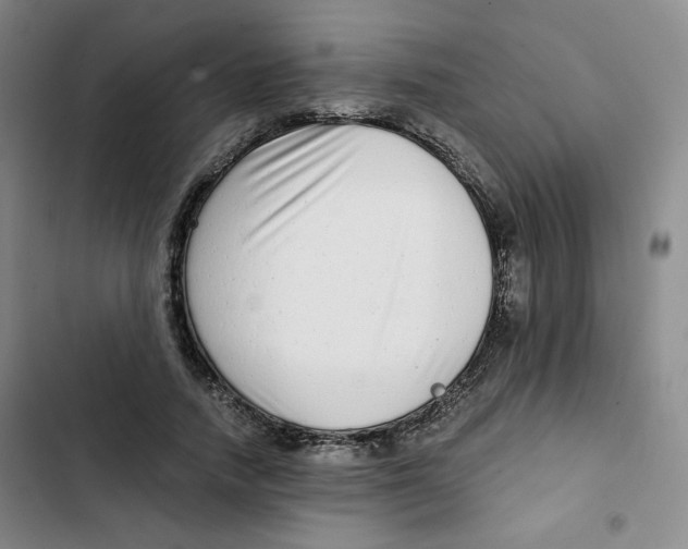 X0000102800738200809150928