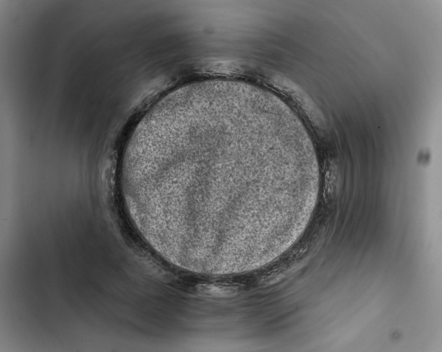 X0000102800739200809150928