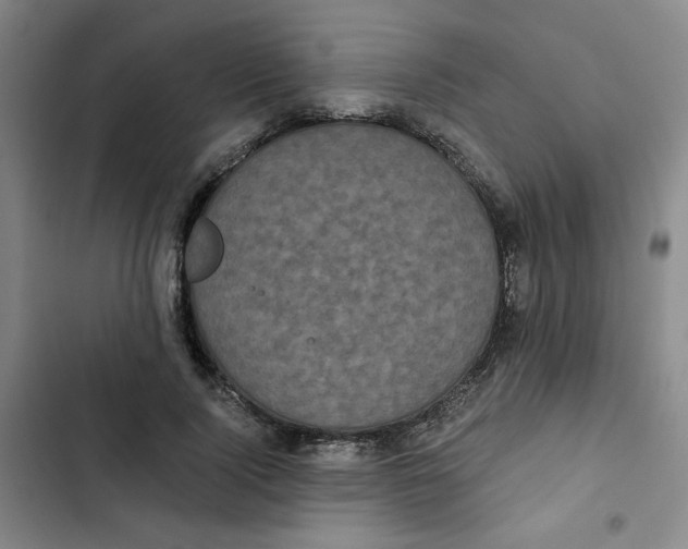 X0000102800740200809150928