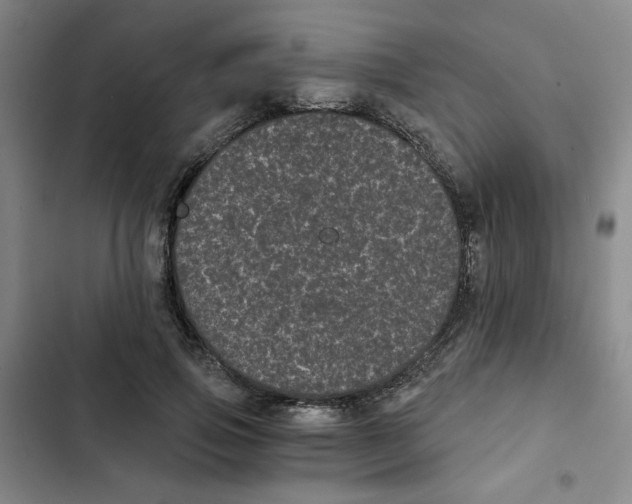 X0000102800741200809150928