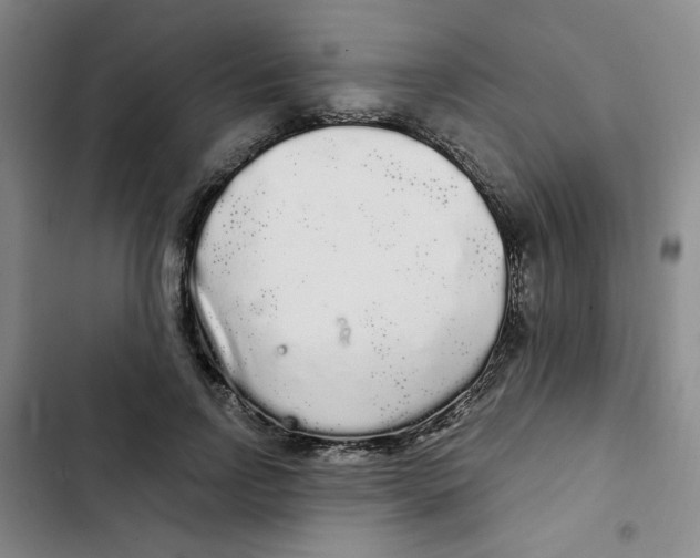 X0000102800742200809150928