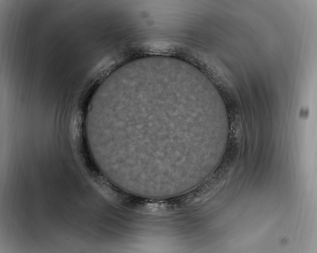 X0000102800744200809150928