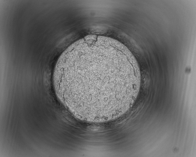 X0000102800745200809150928