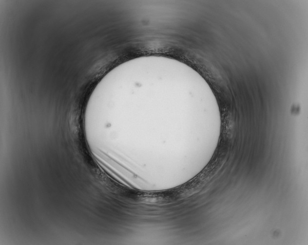 X0000102800746200809150928