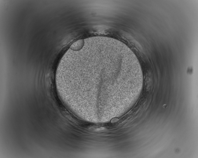 X0000102800747200809150928