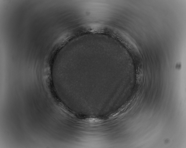 X0000102800748200809150928