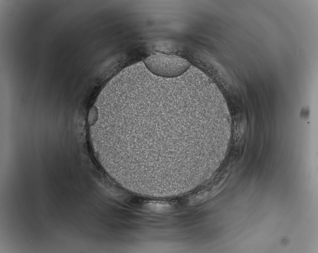 X0000102800749200809150928