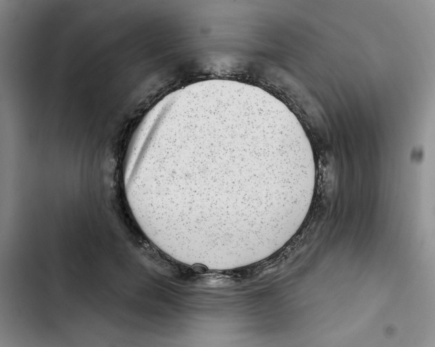 X0000102800750200809150928