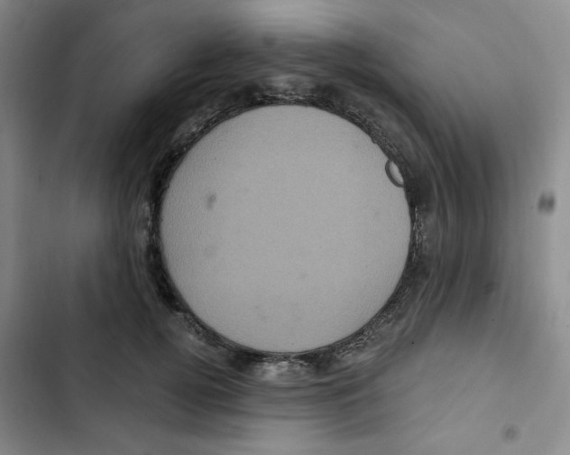 X0000102800752200809150928