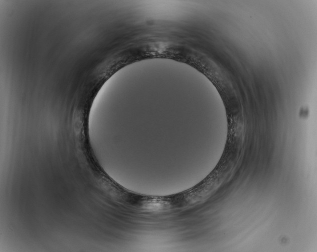 X0000102800754200809150928