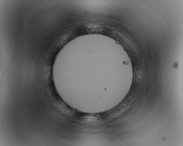 X0000102800756200809150928