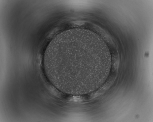 X0000102800758200809150928