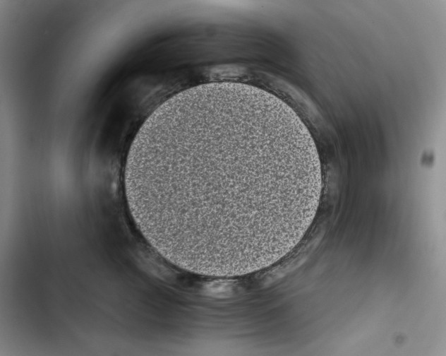 X0000102800761200809150928