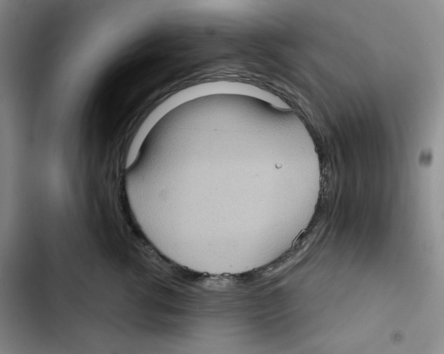 X0000102800762200809150928