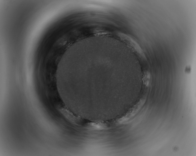 X0000102800763200809150928