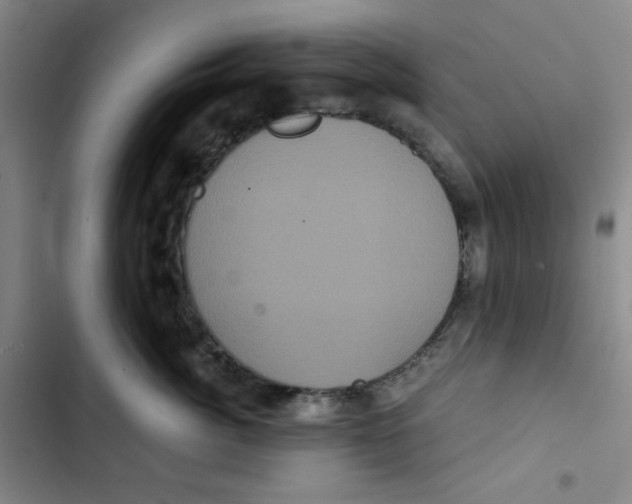 X0000102800764200809150929