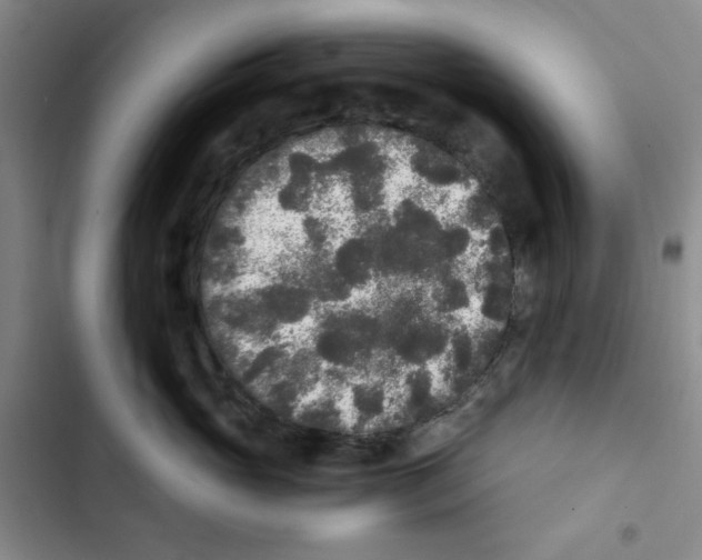 X0000102800765200809150929