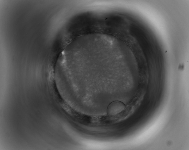 X0000102800766200809150929