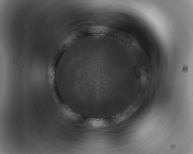 X0000102800767200809150929