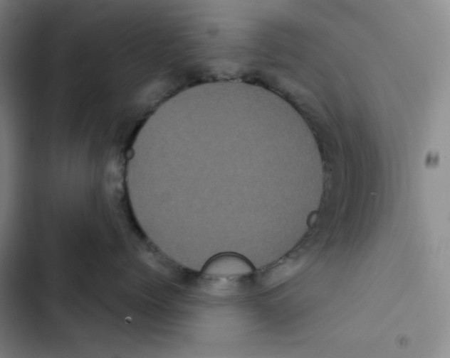 X0000102800768200809150929