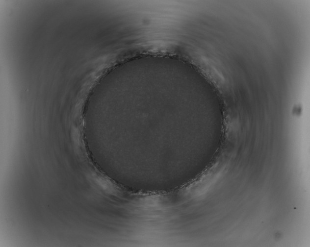 X0000102800769200809150928