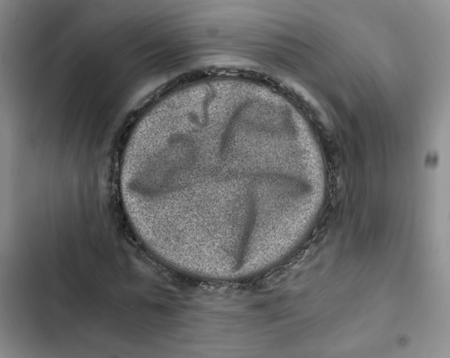 X0000102800775200809150928