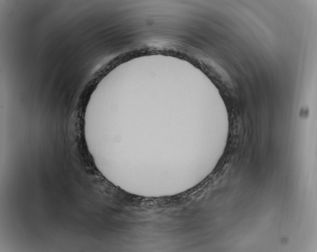 X0000102800776200809150928