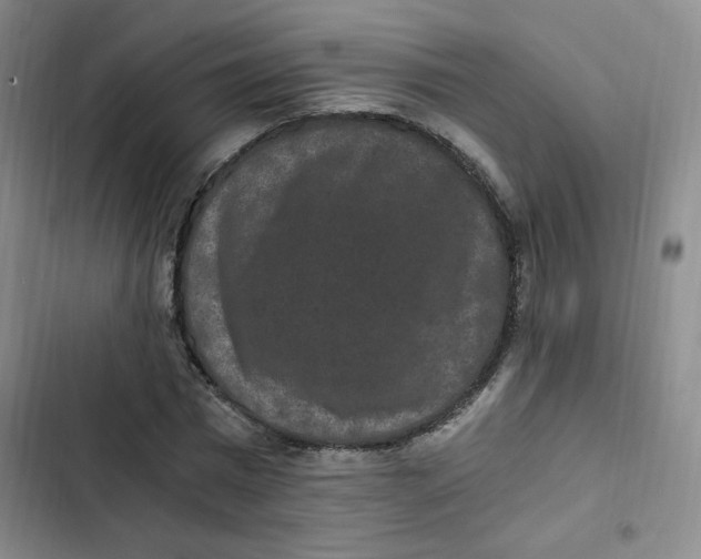 X0000102800777200809150928