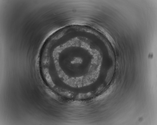 X0000102800779200809150928