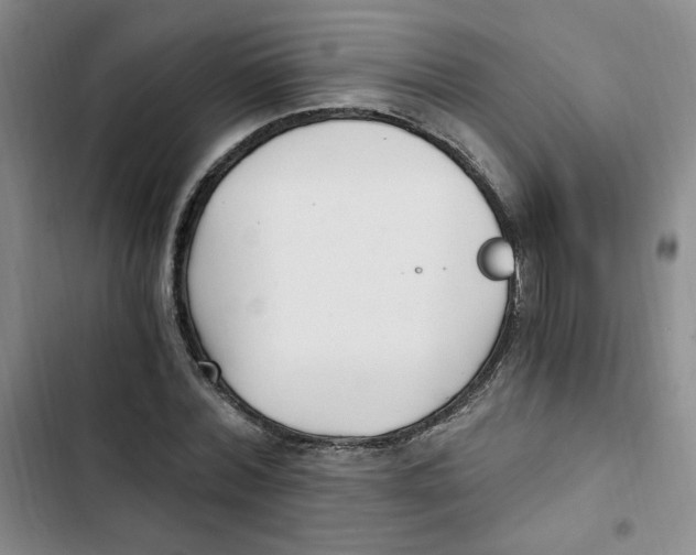 X0000102800780200809150928