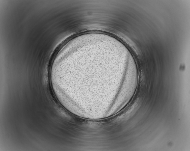 X0000102800782200809150928