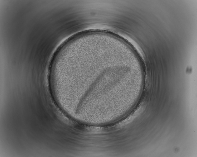 X0000102800783200809150928