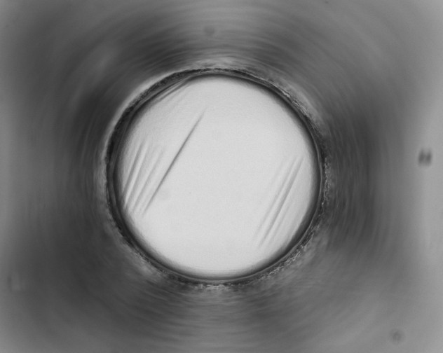 X0000102800784200809150928