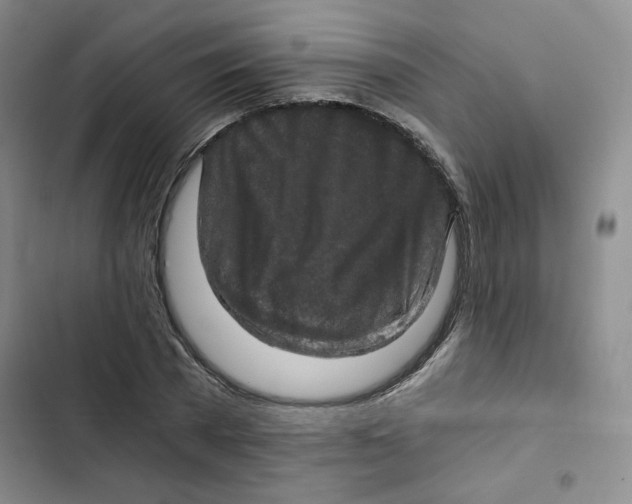 X0000102800785200809150928