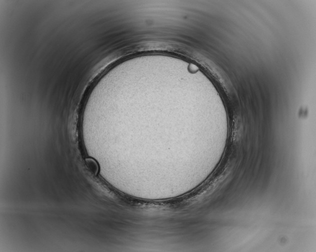 X0000102800786200809150928