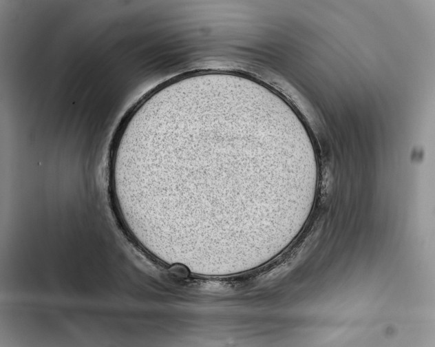 X0000102800787200809150928