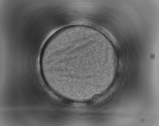 X0000102800788200809150928