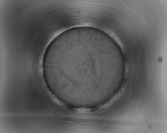 X0000102800789200809150928