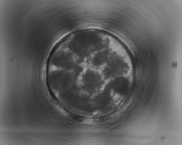 X0000102800790200809150928